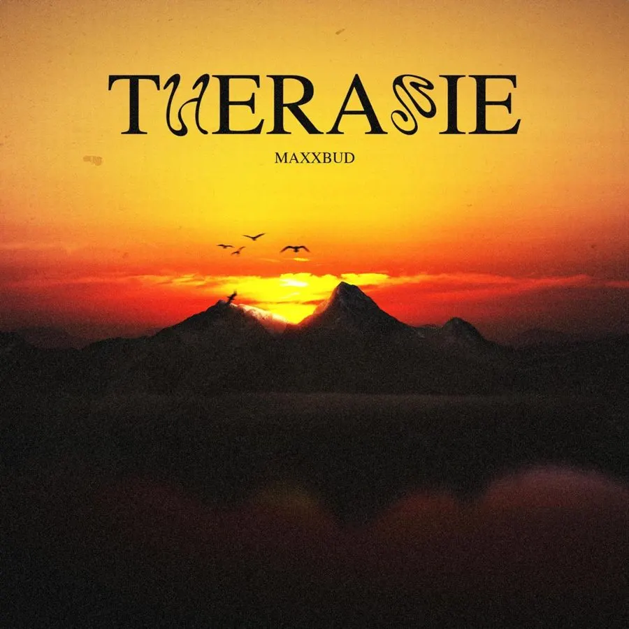 Pochette de Thérapie