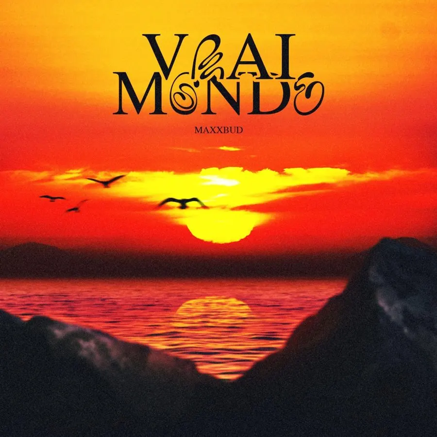 Pochette de Vrai monde